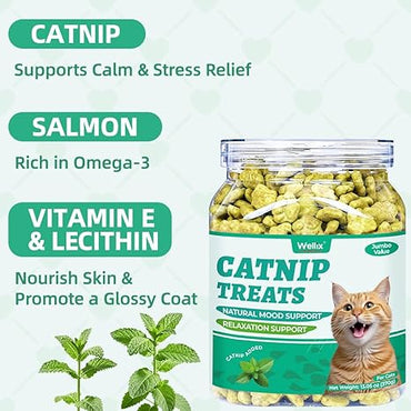 Wellix 13.05oz Catnip Treats for Cats – Healthy Indoor Cat Snacks with Digestive Support, Crunchy Kitten Training Biscuits, Food Toppers & Dental Support Chews with Real Salmon
