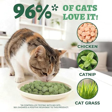 Wellix Freeze-Dried Cat Treats, Grain-Free with Chicken, Cat Grass & Catnip, Digestive & Skin Coat Support for Indoor Cats, 3oz