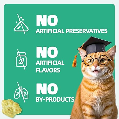 Wellix 13.05oz Catnip Treats for Cats – Healthy Indoor Cat Snacks with Digestive Support, Crunchy Kitten Training Biscuits, Food Toppers & Dental Support Chews with Real Salmon