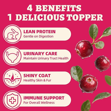 Wellix Rabbit & Cranberry Freeze-Dried Treats for Cats & Dogs | Hypoallergenic Grain-Free Recipe 3.5 oz