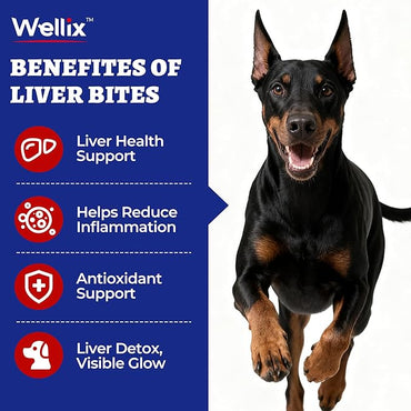 Wellix Soporte Hepático para Perros - Cardo Mariano y Omega-3 Suplemento para Perros para Hígado, Corazón y Soporte Antioxidante - Sabor Pollo - 260 Bocados