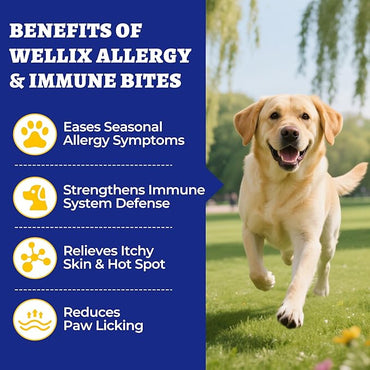 Wellix Calming Bites para perros, 260 unidades | Bocaditos suaves sabor a pollo con melatonina, L-teanina y manzanilla | Apoyo diario para la calma