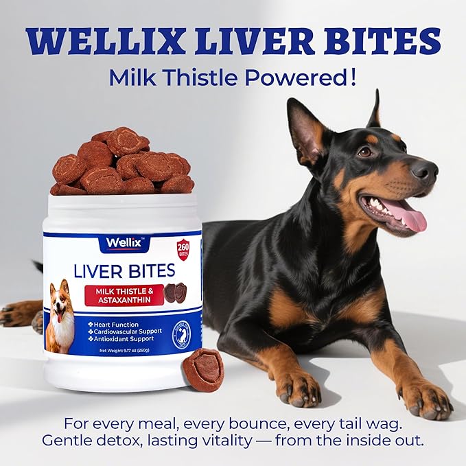 Wellix Soporte Hepático para Perros - Cardo Mariano y Omega-3 Suplemento para Perros para Hígado, Corazón y Soporte Antioxidante - Sabor Pollo - 260 Bocados