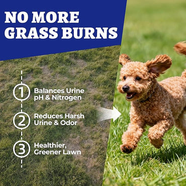 260 bocaditos para perros Green Grass Bites, masticables con sabor a pollo, arándano, probióticos y enzimas digestivas