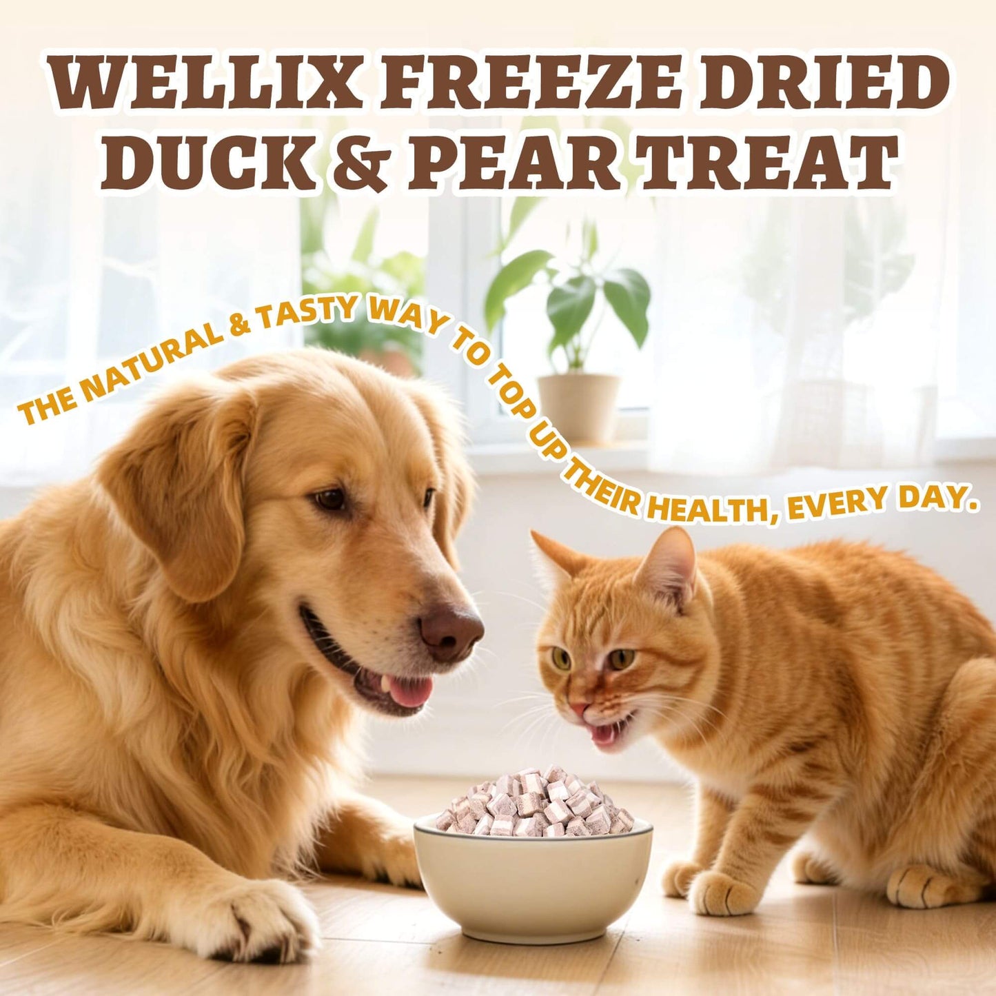 Wellix Freeze Dried Cat Treats Duck&Pear Treats for Cats&Small Dogs Natural Freeze Dried Kittens Training Snacks 4.93oz