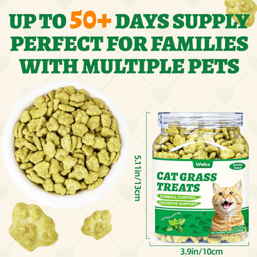 Wellix 13.05oz Cat Grass Treats with Catnip & Salmon - Healthy Cat Cats - Hairball Control & Digestive Support - Kittens Training Snacks for Teeth Cleaning