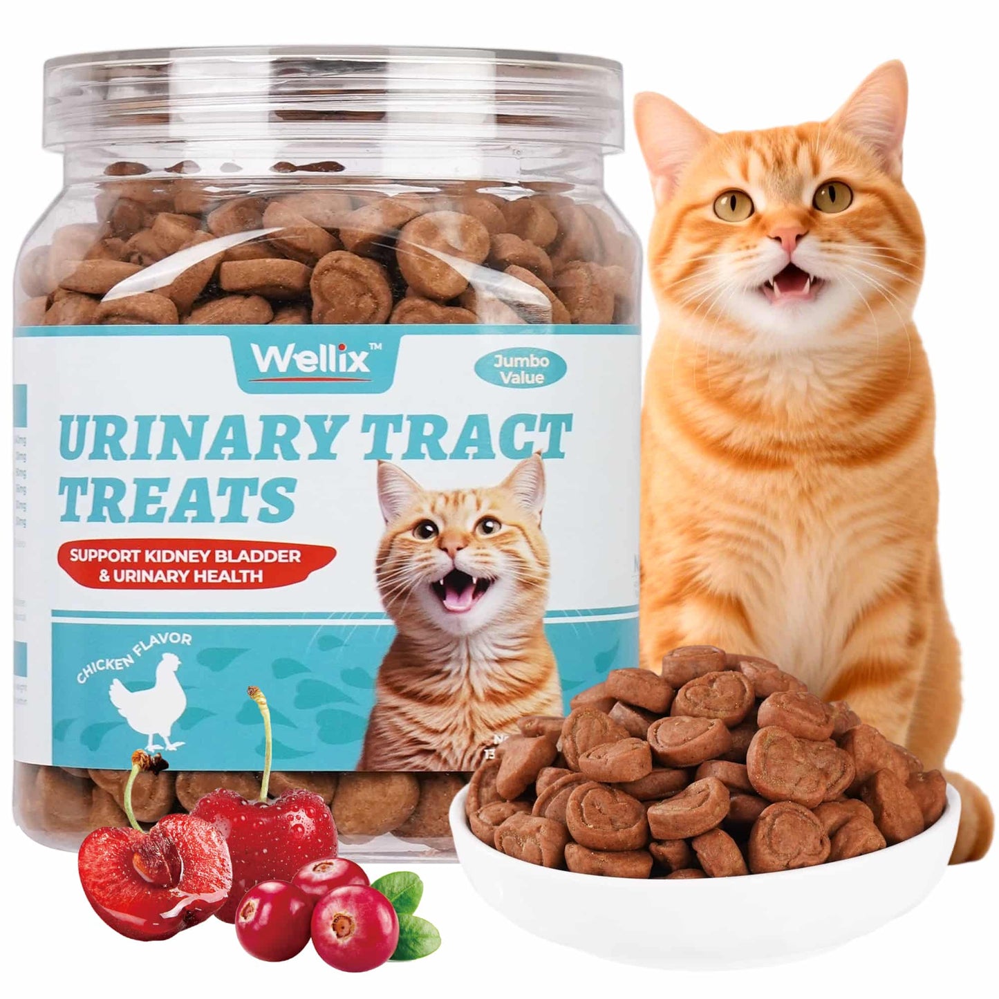 Wellix Urinary Tract Treats for Cats – 13.5oz Chicken-Flavored Biscuits with Dandelion & Cranberry, Supports Urinary Tract Health for Indoor Cats & Kittens