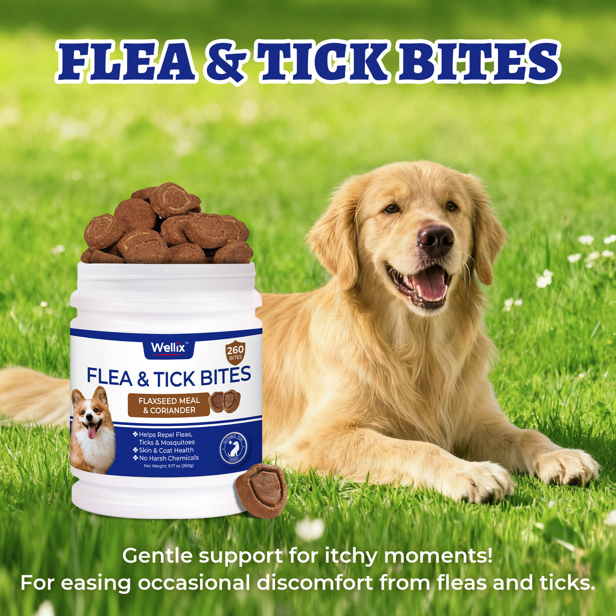Wellix Flea & Tick Support Bites for Dogs, Flaxseed Meal & Coriander Soft Chews with Brewer’s Yeast, Colostrum & Perilla Seed Extract, Skin & Coat Support, 260 Bites, 9.17 oz