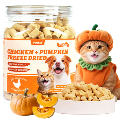 Wellix Chicken & Pumpkin Freeze-Dried Treats for Cats Dogs, Grain-Free Crunchy Food Topper Training Snacks, Digestive Gut Health Support
