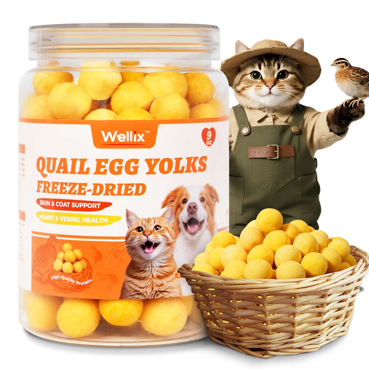 Wellix Freeze Dried Quail Eggs for Cats & Dogs - High-Protein Quail Egg Yolk Cat & Dog Treats for Skin & Coat Health - Delicious Training Snacks - 4.2oz
