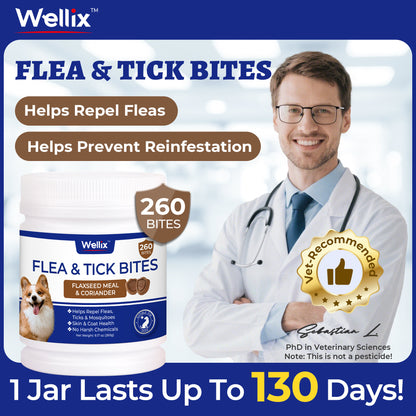 Wellix Flea & Tick Support Bites for Dogs, Flaxseed Meal & Coriander Soft Chews with Brewer’s Yeast, Colostrum & Perilla Seed Extract, Skin & Coat Support, 260 Bites, 9.17 oz