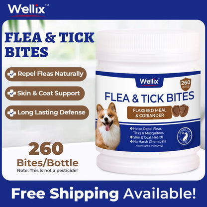 Wellix Flea & Tick Support Bites for Dogs, Flaxseed Meal & Coriander Soft Chews with Brewer’s Yeast, Colostrum & Perilla Seed Extract, Skin & Coat Support, 260 Bites, 9.17 oz