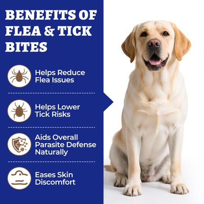 Wellix Flea & Tick Support Bites for Dogs, Flaxseed Meal & Coriander Soft Chews with Brewer’s Yeast, Colostrum & Perilla Seed Extract, Skin & Coat Support, 260 Bites, 9.17 oz