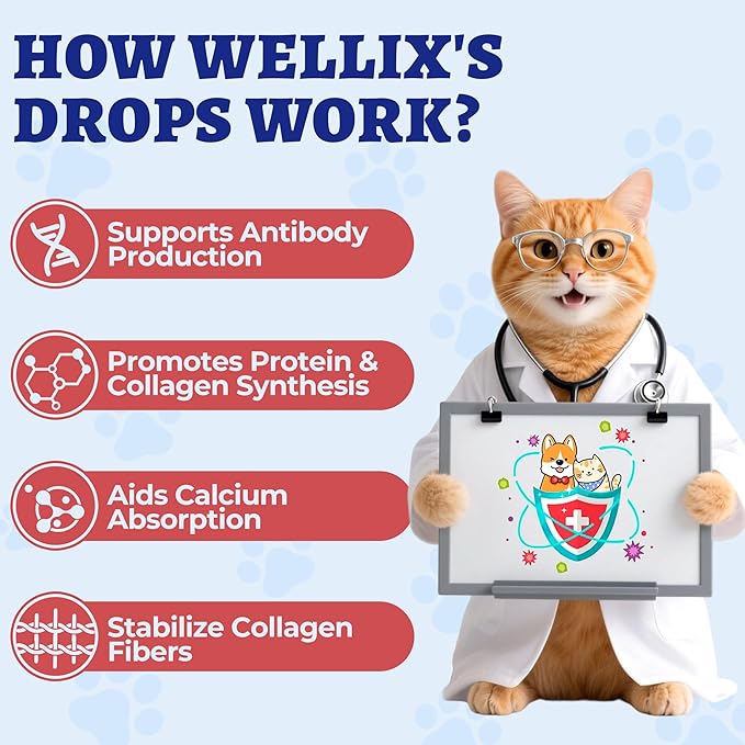 Wellix Gotas de L-Lisina para Perros y Gatos – 4 oz Sabor Pollo, Apoya el Bienestar Inmunológico y Respiratorio, Bienestar Ocular
