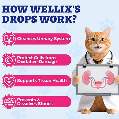 Wellix Urinary Tract Drops with Cranberry for Cats & Dogs, 4 oz, Cranberry & D-Mannose, Supports Urinary, Bladder & Kidney Health