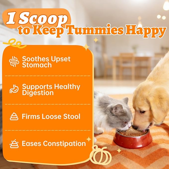 Wellix Calabaza en Polvo para Perros y Gatos – Suplemento de Fibra para el Bienestar Digestivo, el Soporte Intestinal y la Salud Intestinal