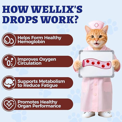 Suplemento líquido de hierro de 4 oz para gatos y perros con vitamina B12 y vitamina C, apoya niveles saludables de hemoglobina, suplemento para el bienestar de mascotas preñadas, gatitos y cachorros
