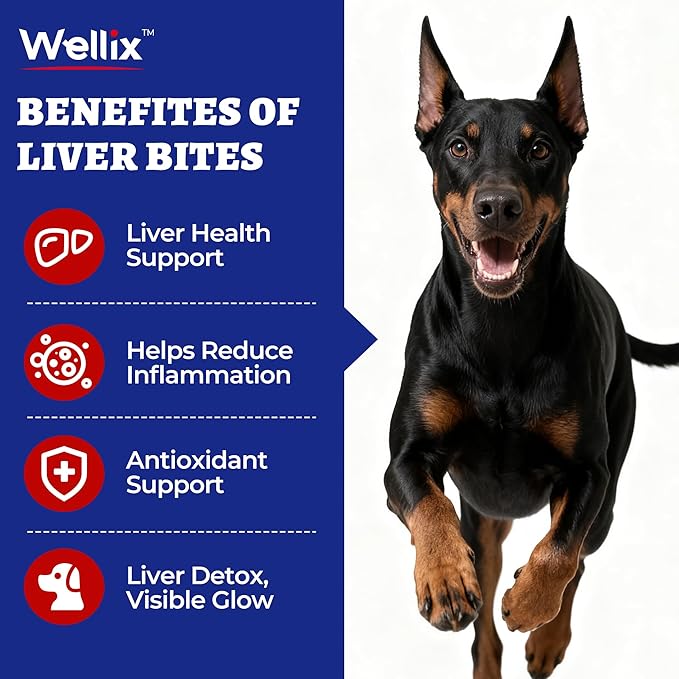 Wellix Soporte Hepático para Perros - Cardo Mariano y Omega-3 Suplemento para Perros para Hígado, Corazón y Soporte Antioxidante - Sabor Pollo - 260 Bocados