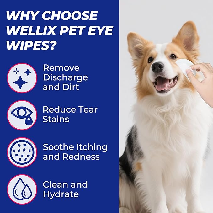 Toallitas para ojos de mascotas Wellix – 110 unidades para el cuidado de manchas de lágrimas, residuos y secreciones
