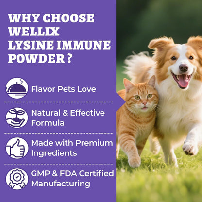 Wellix L-Lysine Powder for Cats & Dogs – Immune Support with Colostrum & Quercetin, 7.05 oz