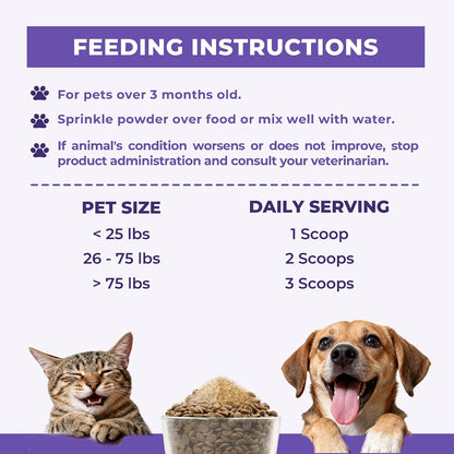 Wellix L-Lysine Powder for Cats & Dogs – Immune Support with Colostrum & Quercetin, 7.05 oz