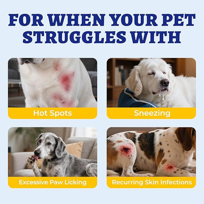 Wellix Calming Bites para perros, 260 unidades | Bocaditos suaves sabor a pollo con melatonina, L-teanina y manzanilla | Apoyo diario para la calma