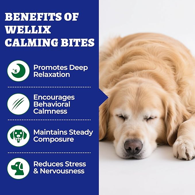 Wellix Calming Bites para Perros, 260 Unidades | Masticables Suaves con Melatonina y L-Teanina | Soporte para la Calma en Situaciones Diarias