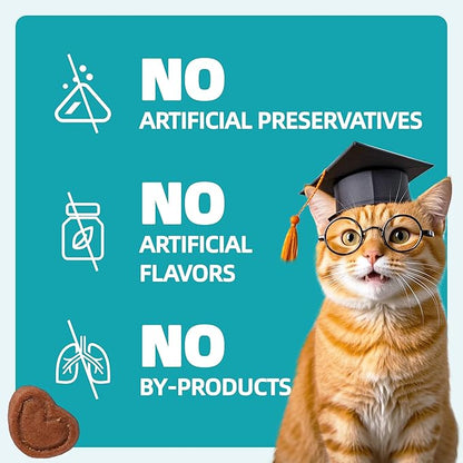 Wellix Chicken-Flavored Biscuit Treats for Cats & Kittens, with Dandelion & Cranberry, 13.5 oz