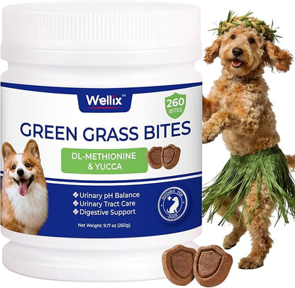 260 bocaditos para perros Green Grass Bites, masticables con sabor a pollo, arándano, probióticos y enzimas digestivas