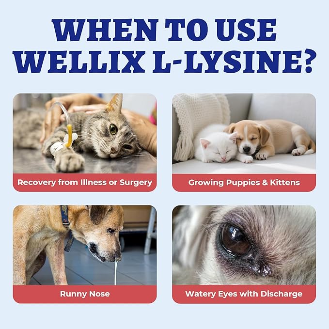 Wellix Gotas de L-Lisina para Perros y Gatos – 4 oz Sabor Pollo, Apoya el Bienestar Inmunológico y Respiratorio, Bienestar Ocular