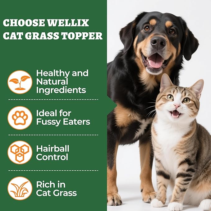 Wellix Cat Grass Topper for Cats & Dogs – 7.05oz Freeze-Dried Chicken, Egg Yolk & Cat Grass, Low-Calorie, Supports Hairball Control & Gut Health