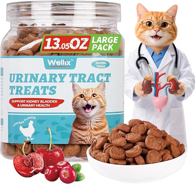 Wellix Chicken-Flavored Biscuit Treats for Cats & Kittens, with Dandelion & Cranberry, 13.5 oz