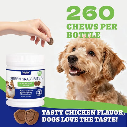 260 bocaditos para perros Green Grass Bites, masticables con sabor a pollo, arándano, probióticos y enzimas digestivas
