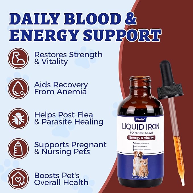 Suplemento líquido de hierro de 4 oz para gatos y perros con vitamina B12 y vitamina C, apoya niveles saludables de hemoglobina, suplemento para el bienestar de mascotas preñadas, gatitos y cachorros