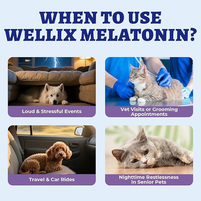 Wellix Gotas Líquidas de Melatonina con Sabor a Tocino para Perros y Gatos – 4 oz, Apoyo Calmante para la Relajación Diaria, Viajes y Aseo