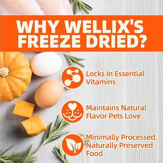 Wellix Chicken & Pumpkin Freeze-Dried Treats for Cats Dogs, Grain-Free Crunchy Food Topper Training Snacks, Digestive Gut Health Support