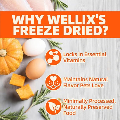 Wellix Chicken & Pumpkin Freeze-Dried Treats for Cats Dogs, Grain-Free Crunchy Food Topper Training Snacks, Digestive Gut Health Support