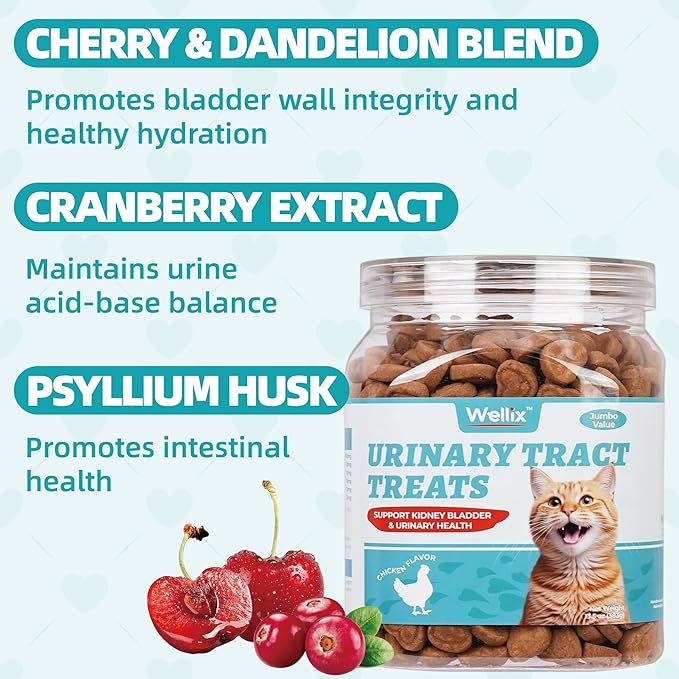 Wellix Chicken-Flavored Biscuit Treats for Cats & Kittens, with Dandelion & Cranberry, 13.5 oz