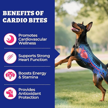 Wellix Cardio Bites para Perros, 260 Unidades | Masticables Suaves con CoQ10, Taurina, Aceite de Pescado y L-Carnitina | Apoyo Cardiovascular Diario