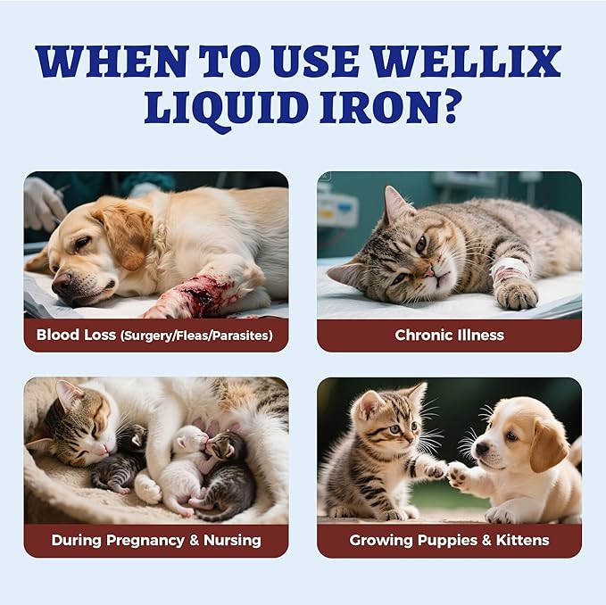 Suplemento líquido de hierro de 4 oz para gatos y perros con vitamina B12 y vitamina C, apoya niveles saludables de hemoglobina, suplemento para el bienestar de mascotas preñadas, gatitos y cachorros