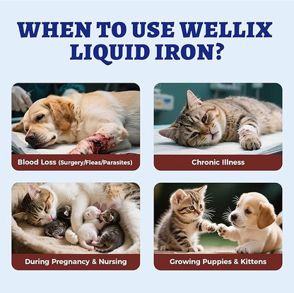 Suplemento líquido de hierro de 4 oz para gatos y perros con vitamina B12 y vitamina C, apoya niveles saludables de hemoglobina, suplemento para el bienestar de mascotas preñadas, gatitos y cachorros