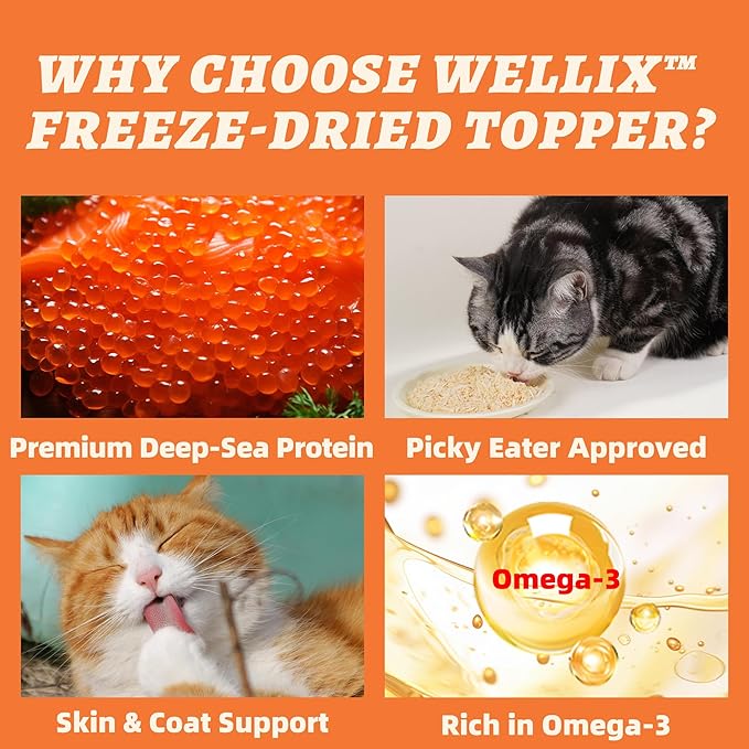 Wellix Salmon Roe Topper for Cats & Dogs, 7.05 oz, Freeze-Dried Formula with Salmon Roe, Egg Yolk & Chicken, Natural Omega-3 Source, Supports Skin & Coat Health