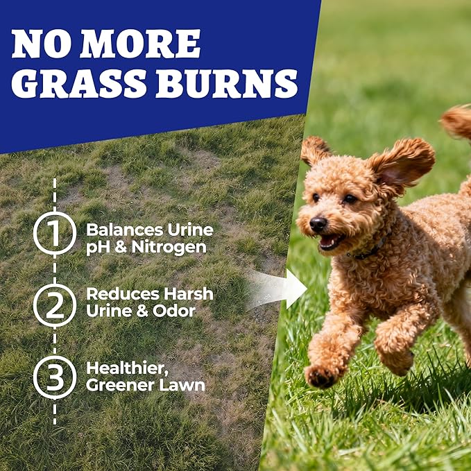 260 bocaditos para perros Green Grass Bites, masticables con sabor a pollo, arándano, probióticos y enzimas digestivas