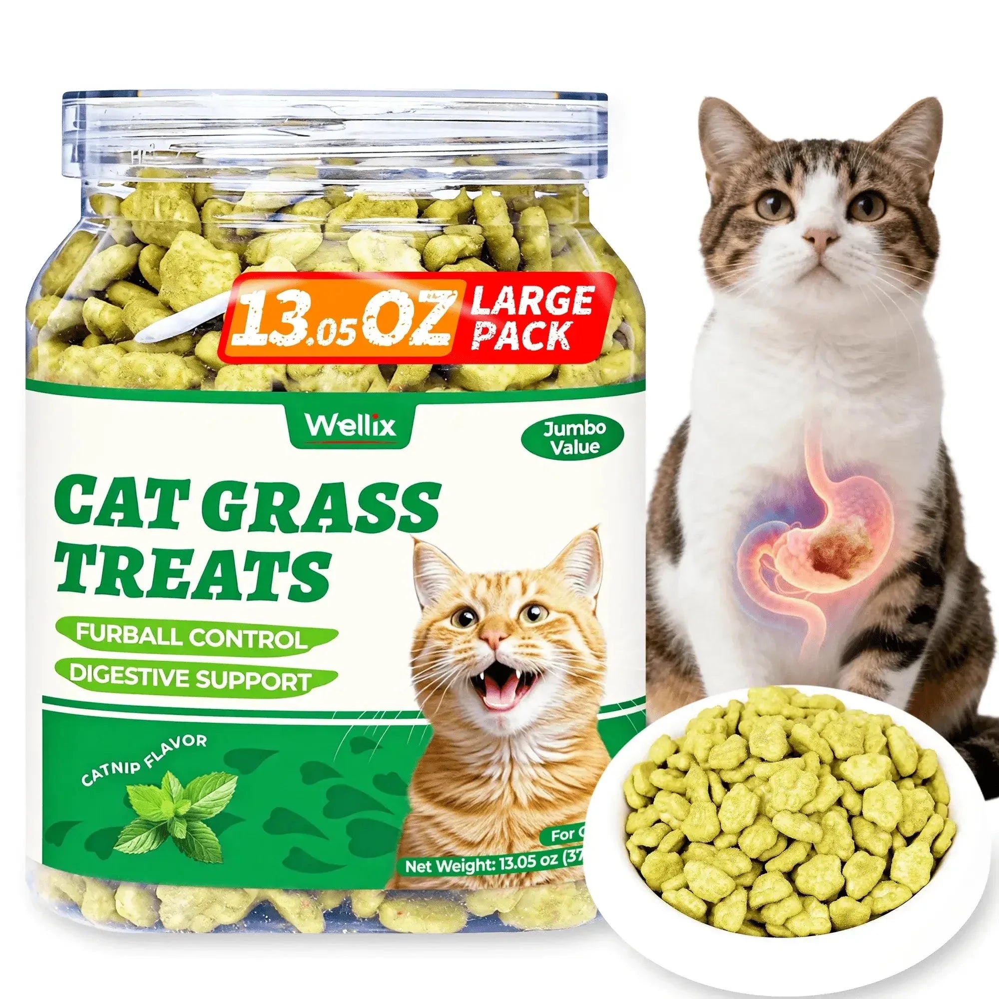 Wellix 13.05oz Cat Grass Treats with Catnip & Salmon - Healthy Cat Cats - Hairball Control & Digestive Support - Kittens Training Snacks for Teeth Cleaning