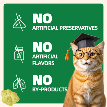 Wellix 13.05oz Cat Grass Treats with Catnip & Salmon - Healthy Cat Cats - Hairball Control & Digestive Support - Kittens Training Snacks for Teeth Cleaning