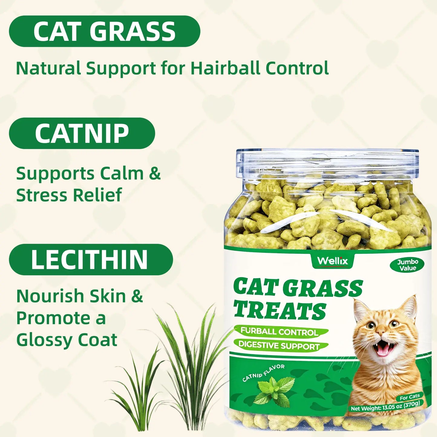 Wellix 13.05oz Cat Grass Treats with Catnip & Salmon - Healthy Cat Cats - Hairball Control & Digestive Support - Kittens Training Snacks for Teeth Cleaning