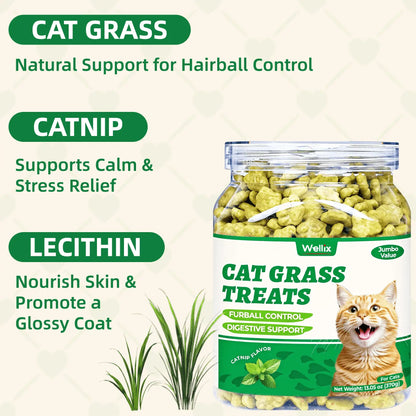 Wellix 13.05oz Cat Grass Treats with Catnip & Salmon - Healthy Cat Cats - Hairball Control & Digestive Support - Kittens Training Snacks for Teeth Cleaning