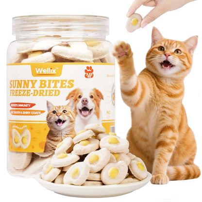 Wellix SunnyBites Freeze Dried Chicken Treats for Dogs and Cats - Healthy Egg & Chicken Snacks for Training - Supports Immunity & Gut Health - 3.5oz