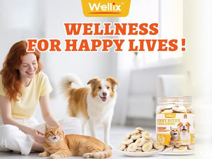 Wellix SunnyBites Freeze Dried Chicken Treats for Dogs and Cats - Healthy Egg & Chicken Snacks for Training - Supports Immunity & Gut Health - 3.5oz
