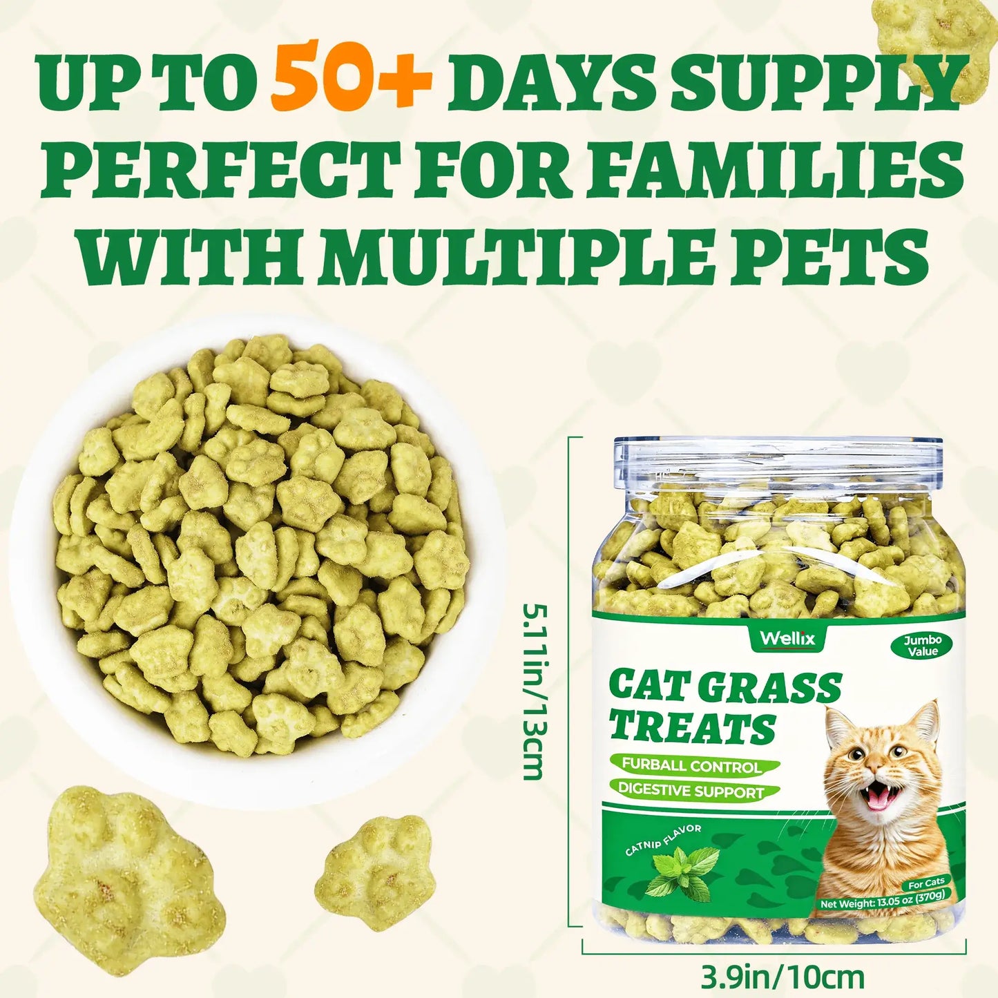 Wellix 13.05oz Cat Grass Treats with Catnip & Salmon - Healthy Cat Cats - Hairball Control & Digestive Support - Kittens Training Snacks for Teeth Cleaning